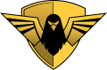 Grupo Golden Sat